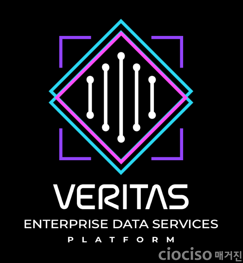 베리타스 엔터프라이즈 데이터 서비스 플랫폼.png